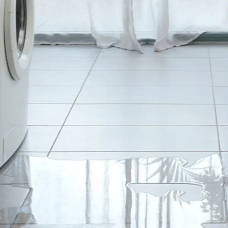 Appliance Leak Cleanup in Montgomery, WV