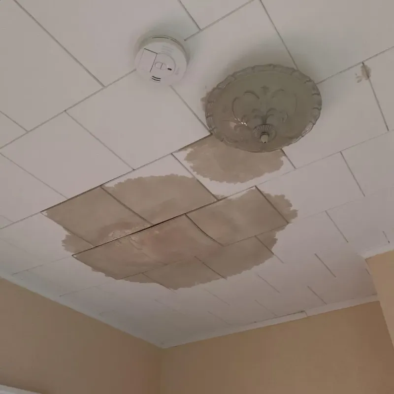 Ceiling Water Damage Repair in Montgomery, WV