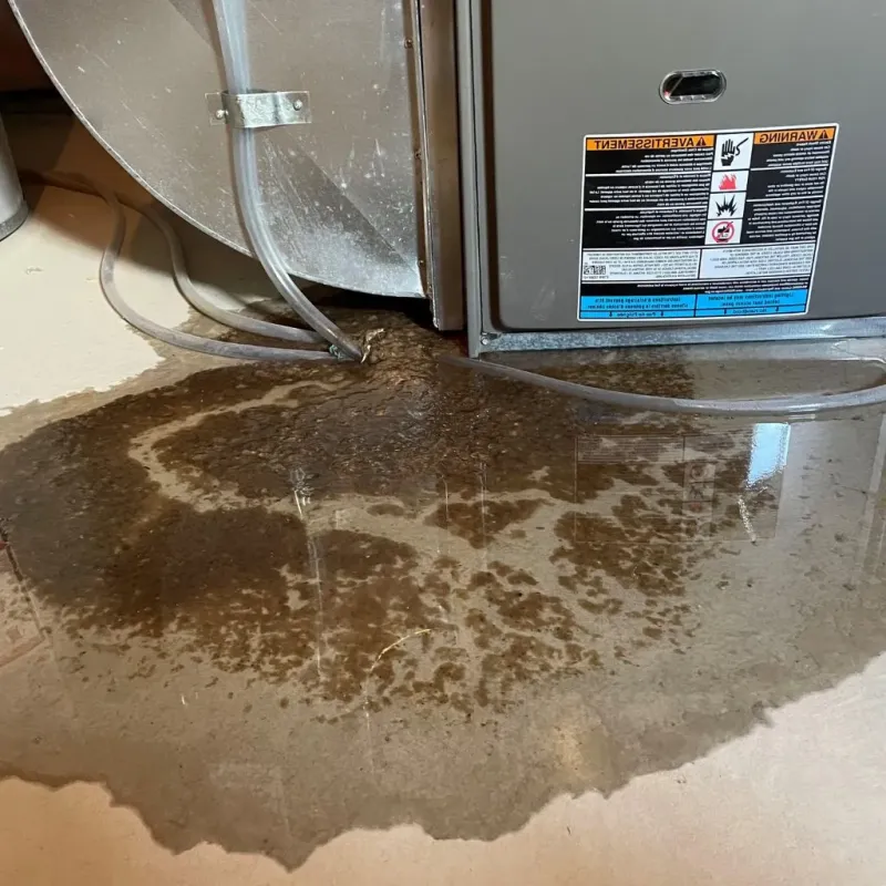 Pipe Burst and Leak Restoration in Montgomery, WV